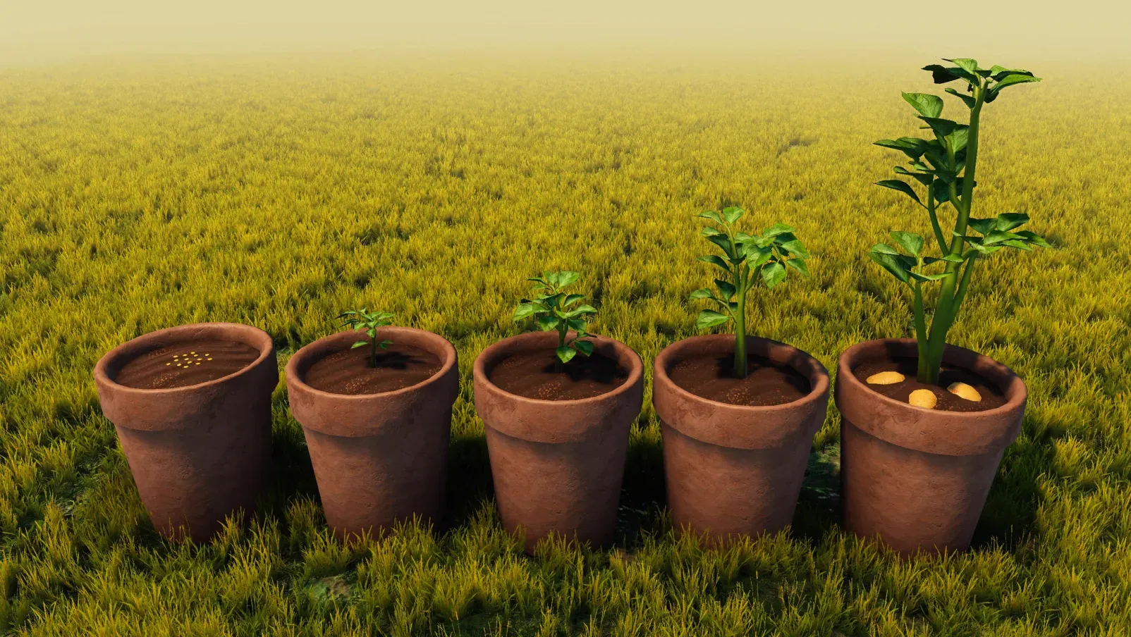 Dev Diary #3 | Co-op & Planting